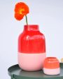 Bebé Vase rosé coral Online Hot Sale